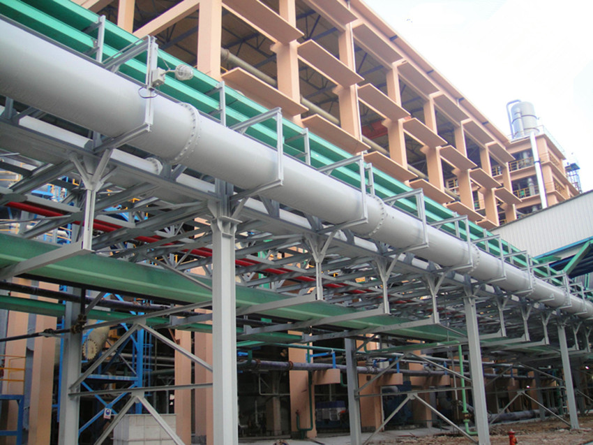 ���Ȼ�����ϩ����